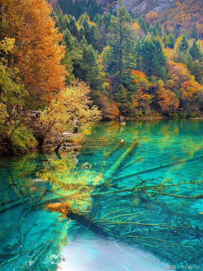 比！根据你的预算和人数选择j9九游会网站入口终极对