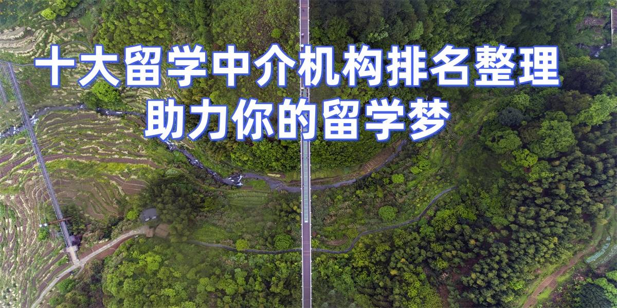 5留学机构性价比高j9国际站202(图3)