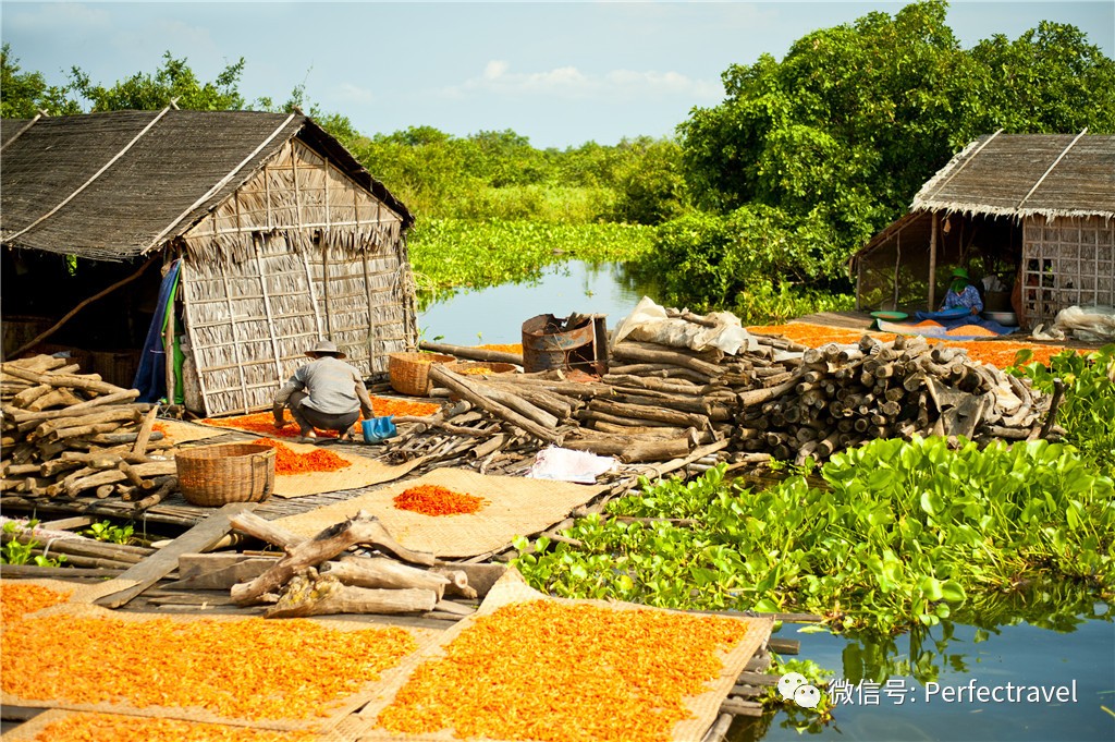 ion 世界最高大上的奢华河轮居然在这里九游会J9入口Aqua Expedit(图5)