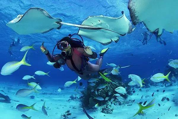 艳遇姐妹们的旅行也很精彩！九游会j9登录邮轮上没有(图2)